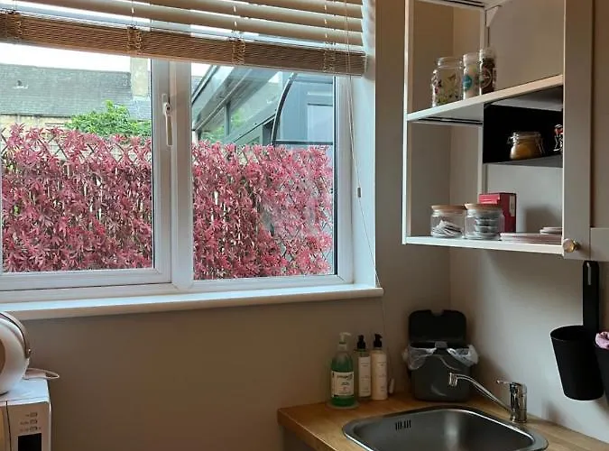 Hugo Mews Bright 布瑞