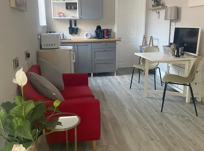 Hugo Mews Bright 브레이