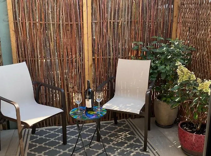 Hugo Mews Bright * 브레이