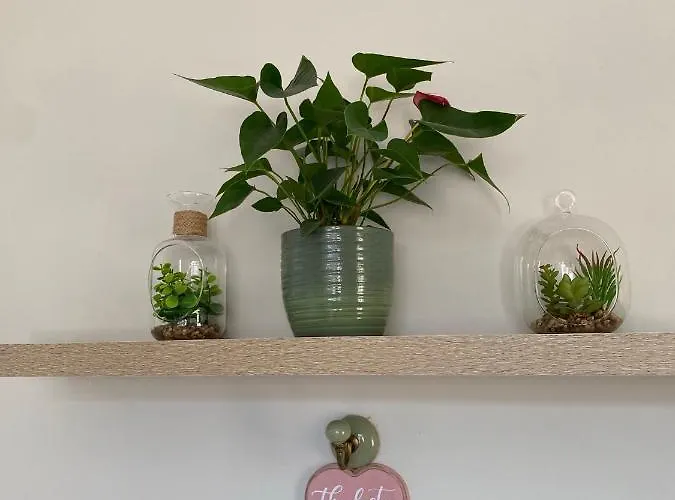 Hugo Mews Bright 아파트 브레이